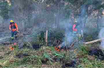  Operação de combate a incêndios se encerra: ano já teve o dobro de ocorrências de 2023